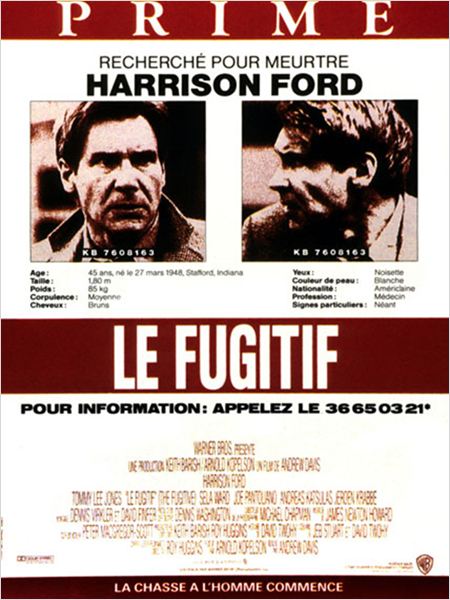 Le Fugitif (1993)