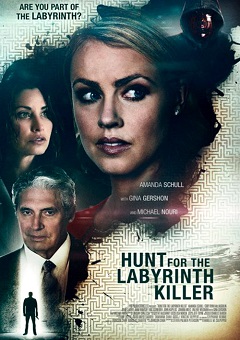 Le labyrinthe de l'injustice (2013)