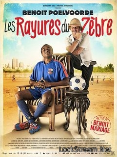 Les Rayures du zèbre